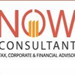 NE Tax Consultant