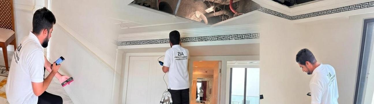 Property   Inspection