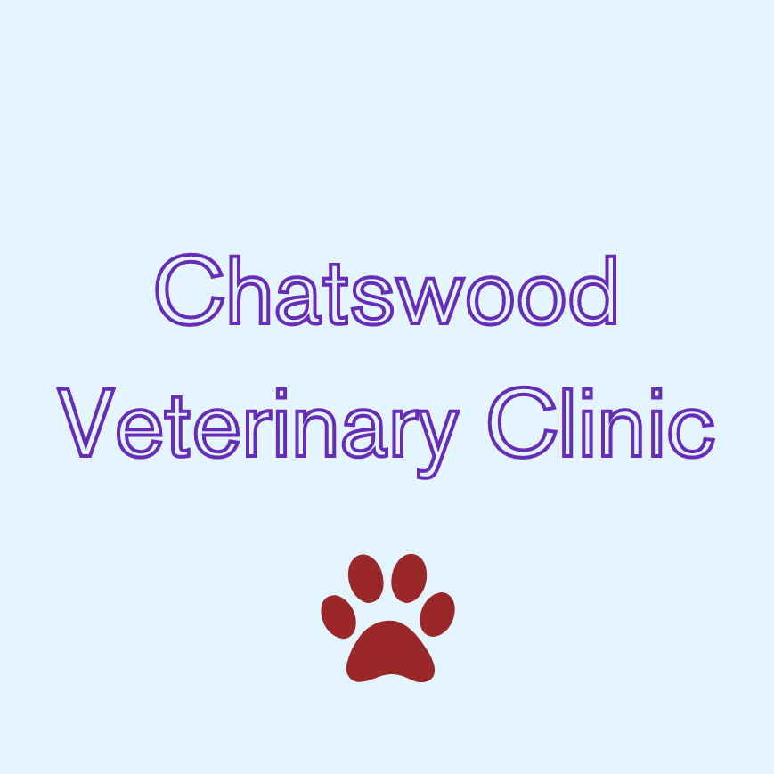 Chatswood Vet