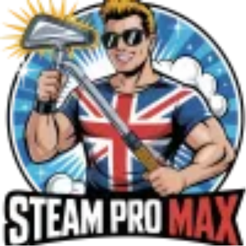 SteamProMax Carpet
