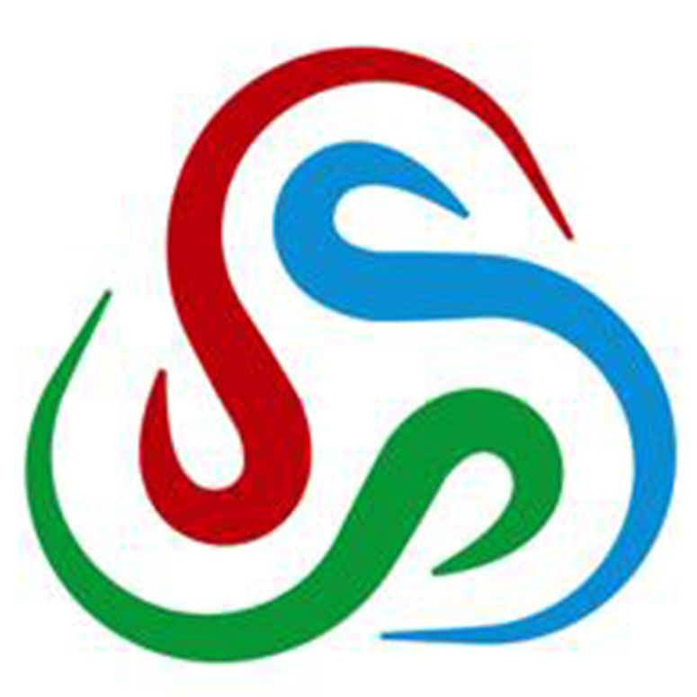 SSSPlacement Consultants