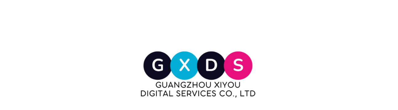 Xiyou  Digital 