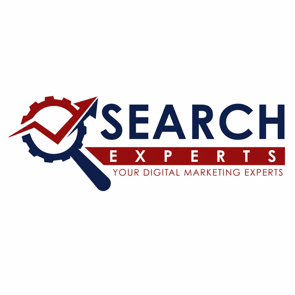 Search Experts